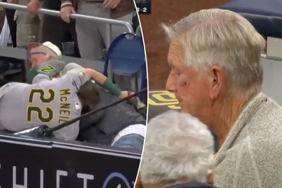 Baseball Player's Diving Play Injures Spectator