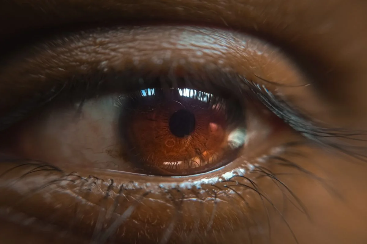 A New Genetic Map of the Human Eye Could One Day Reveal Vision Loss Years Before Symptoms Start