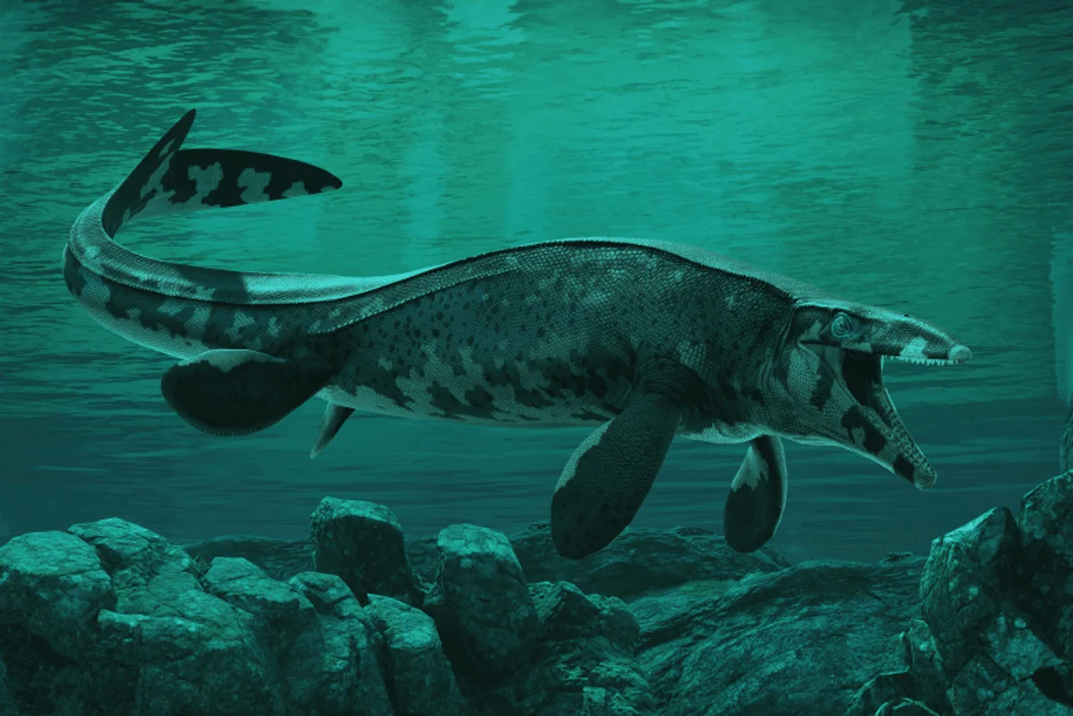 The Texas T. Rex Is an 80-Million-Year-Old Mosasaur the Size of a School Bus